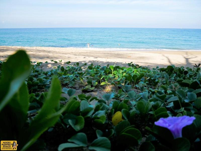 Micky Monkey Beach At Maikhao Beach Mai Khao Exterior photo